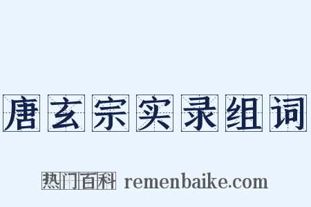 唐玄宗实录组词是什么意思的图片
